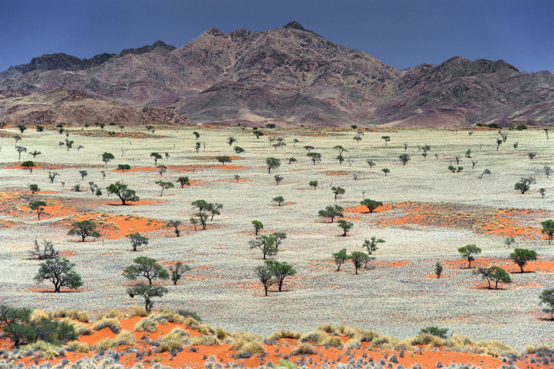 Namibia - Wolwedans